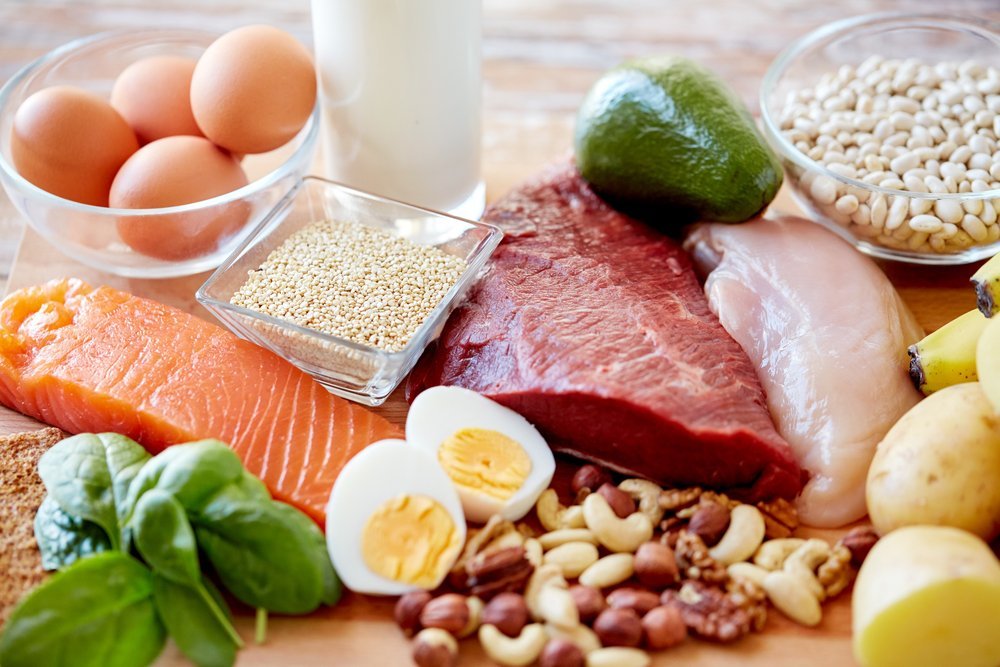 The Power of Protein: "A Key Player in a Balanced Diet"