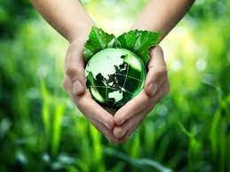 Harmony | in | Nature | Nurturing Environmental Health for a Sustainable Future|